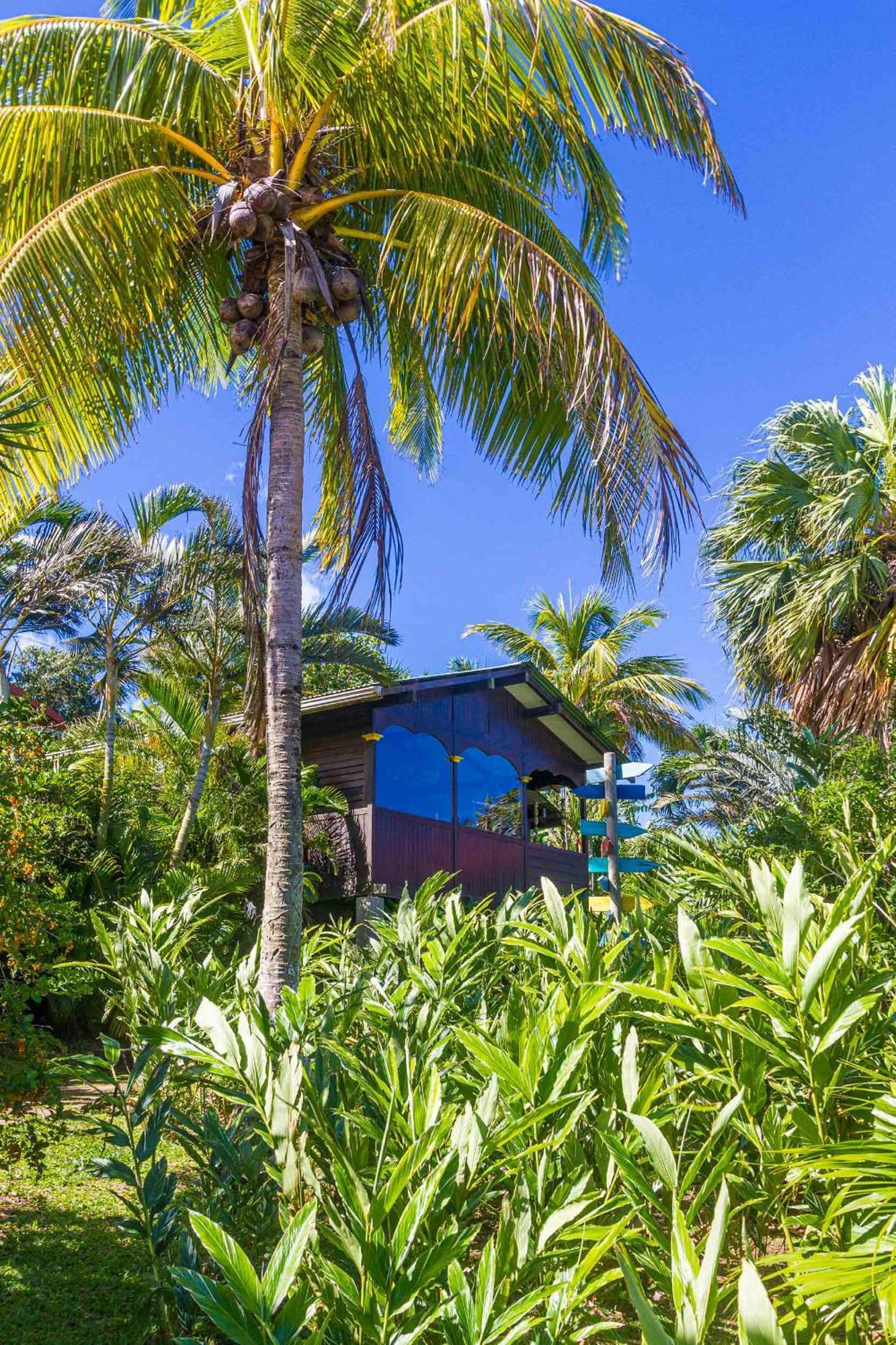 Piton Bungalows Ecolodges Deshaies Ngoại thất bức ảnh